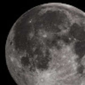 Meet your Posher, Cate